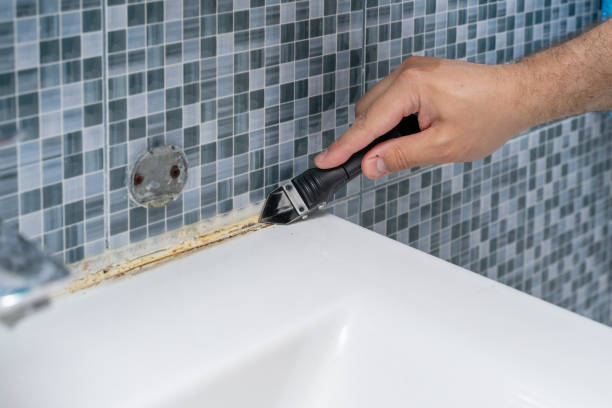 Best White Mold Remediation in Willmar, MN